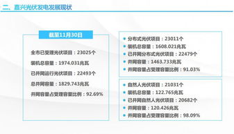 浙江嘉興經驗 分布式光伏發展需智能電網與技術標準雙支撐
