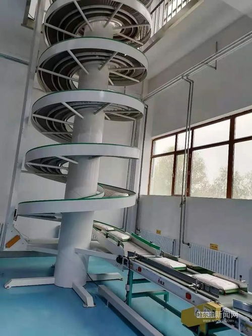 全省首個(gè)高度智能化稻米加工車間投用 1.3萬平方米工廠僅用15人，智能電網(wǎng)技術(shù)助力