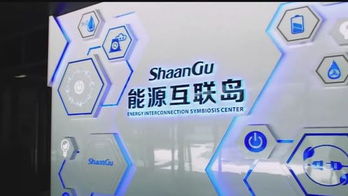 從賣產(chǎn)品到賣服務 陜鼓經(jīng)驗的生物技術推廣服務煉成之路